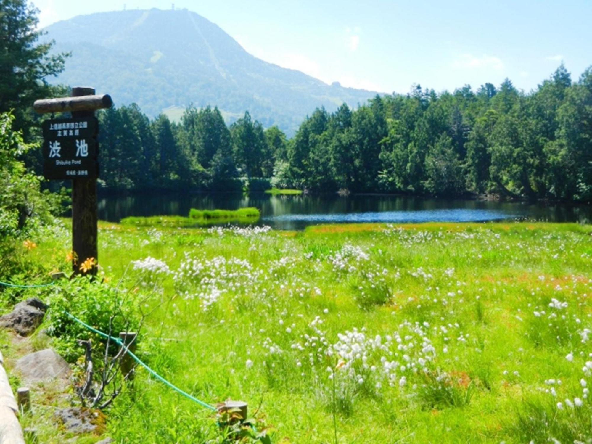 Shiga Kogen Lodge Yamanouchi  Dış mekan fotoğraf